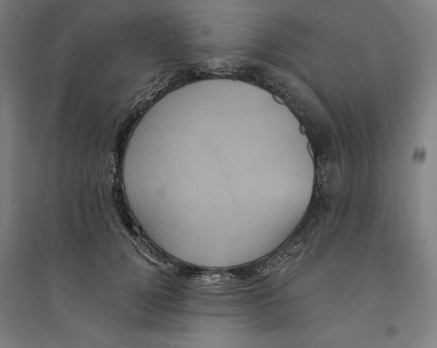 X0000094350752200711301401