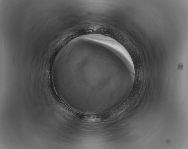 X0000094350754200711301401