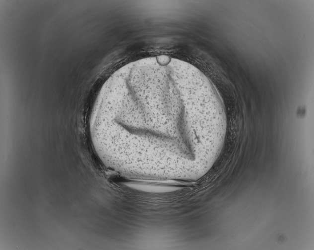 X0000094350755200711301401