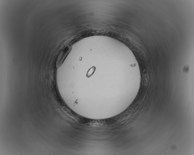 X0000094350756200711301401