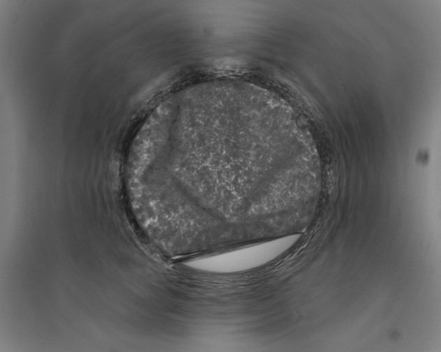 X0000094350757200711301401