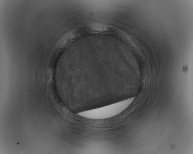 X0000094350758200711301401