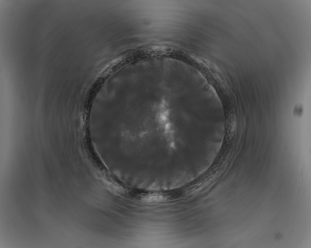 X0000094350759200711301401