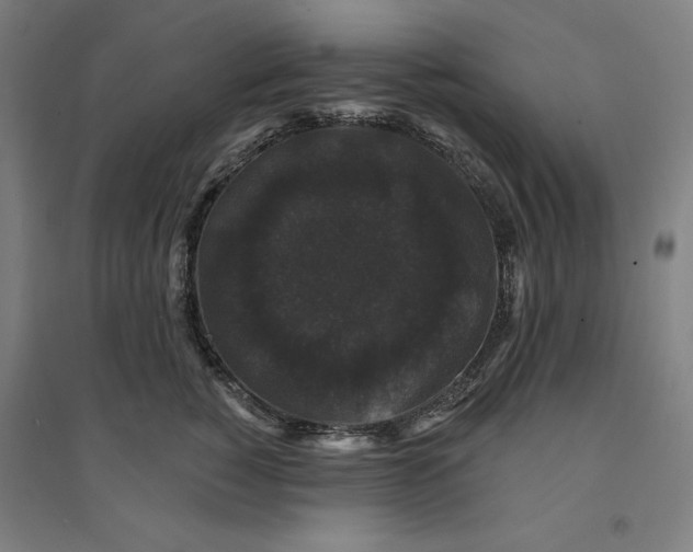X0000094350760200711301401