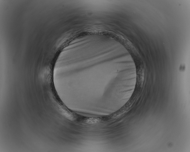 X0000094350762200711301401