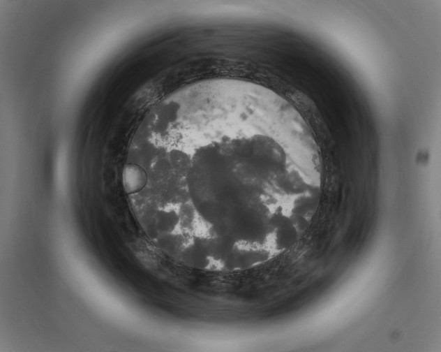 X0000094350765200711301401