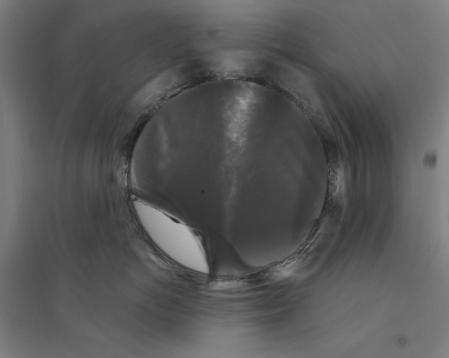 X0000094350766200711301401