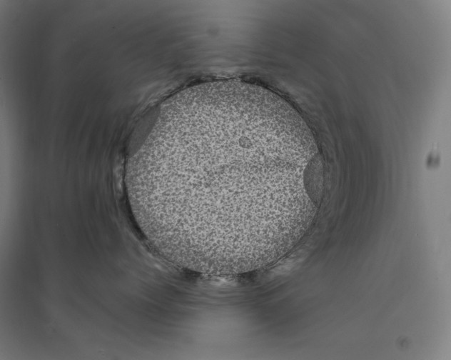 X0000094350768200711301401