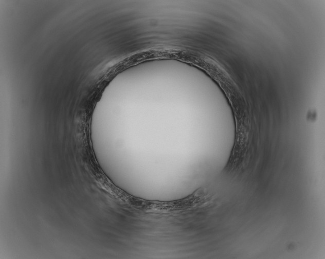 X0000094350773200711301401