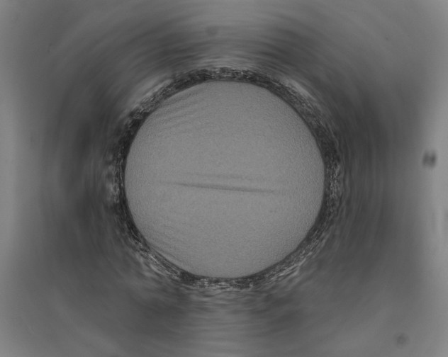 X0000094350774200711301401