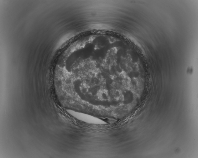 X0000094350775200711301401