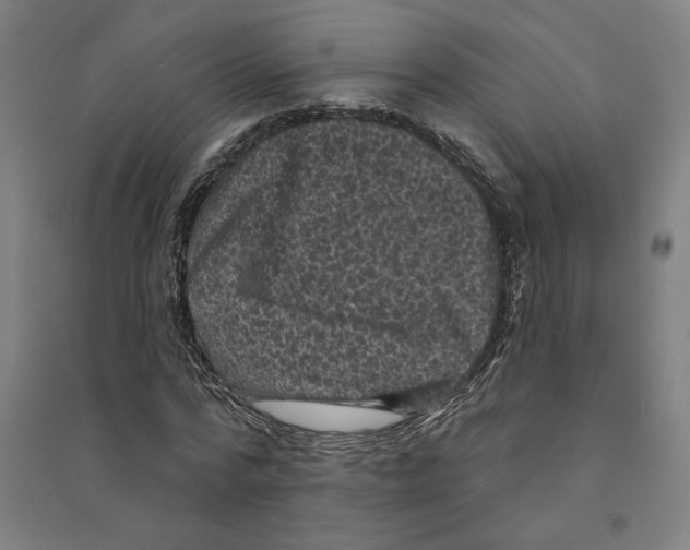 X0000094350776200711301401