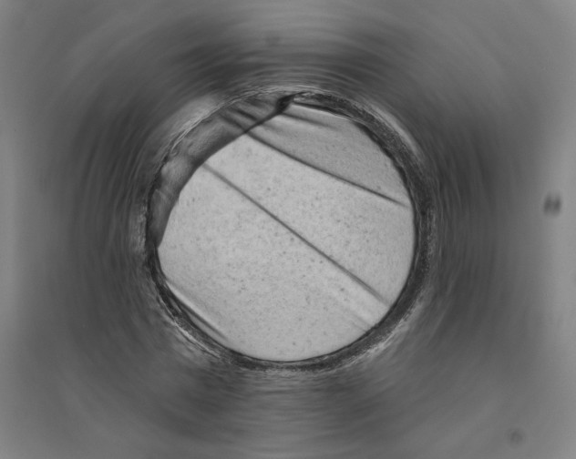 X0000094350777200711301401