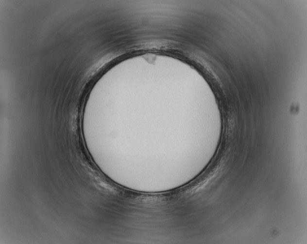 X0000094350778200711301401