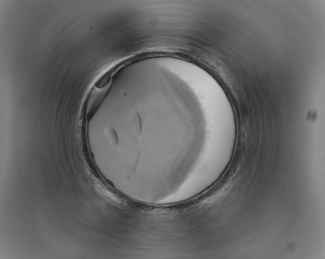 X0000094350779200711301401