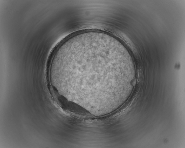 X0000094350780200711301401