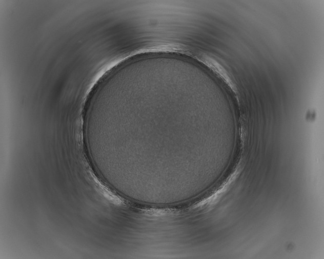 X0000094350781200711301401