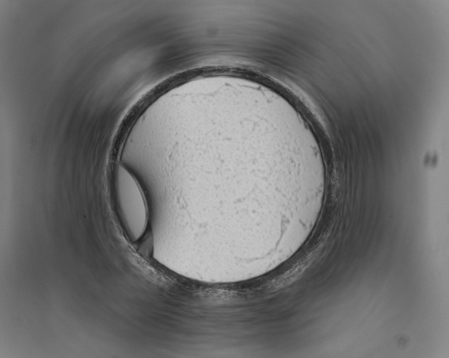 X0000094350783200711301401