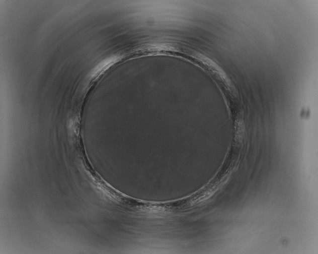 X0000094350785200711301400