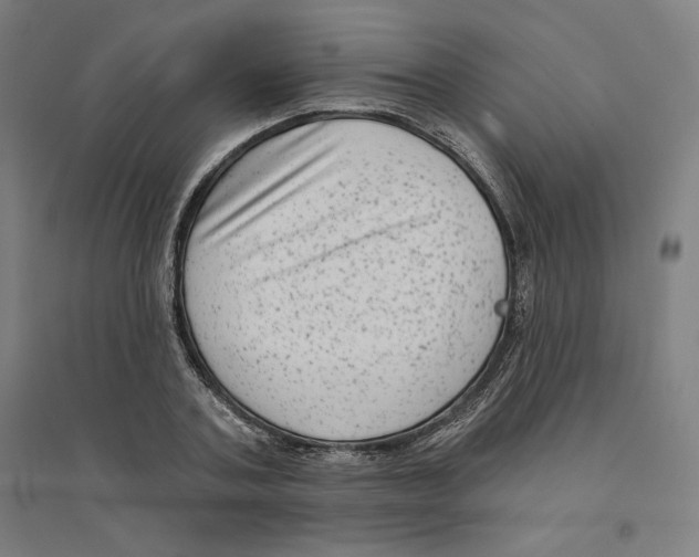 X0000094350787200711301400