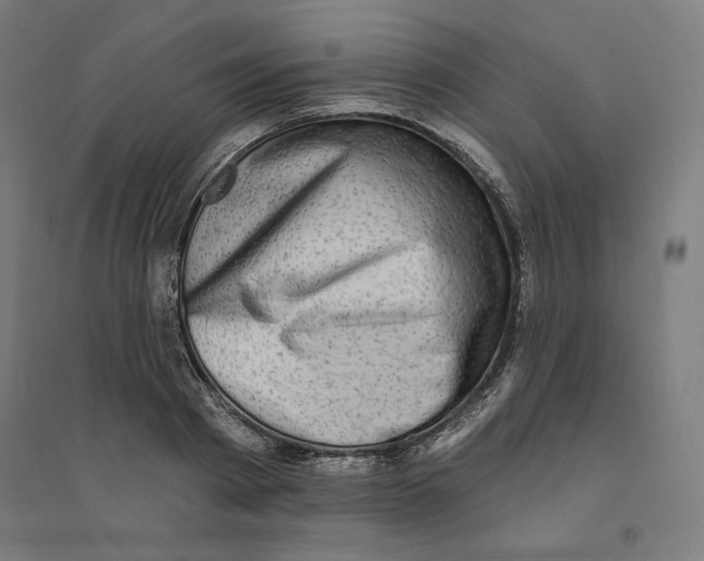 X0000094350793200711301400