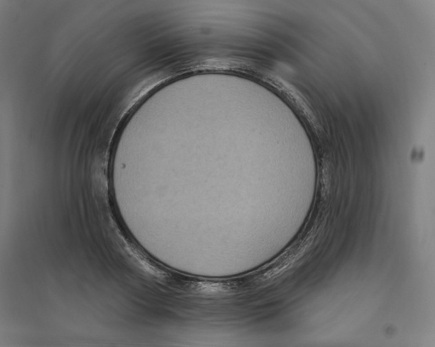 X0000094350794200711301400