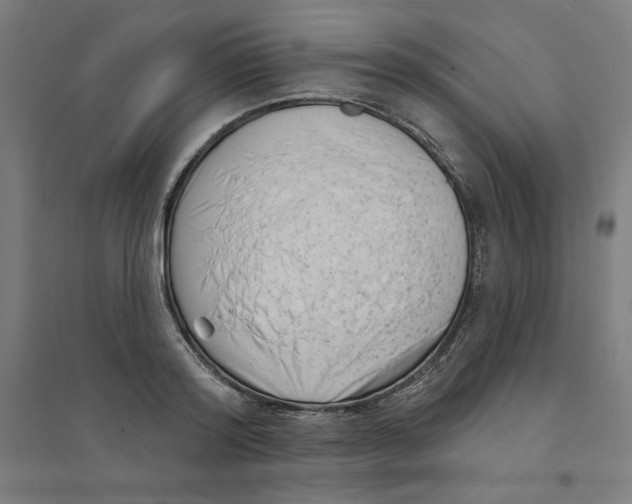 X0000094350796200711301400