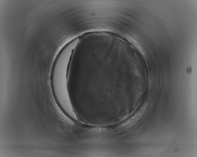 X0000094350797200711301400