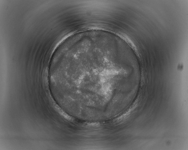 X0000094350798200711301400