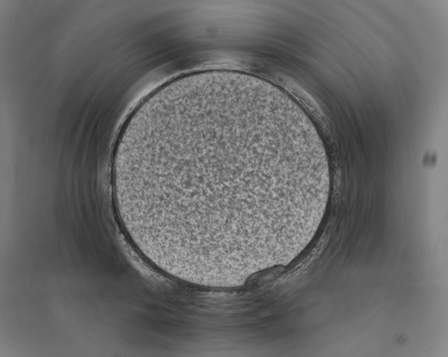 X0000094350800200711301400
