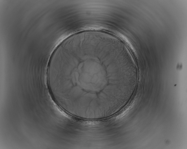X0000094350802200711301400