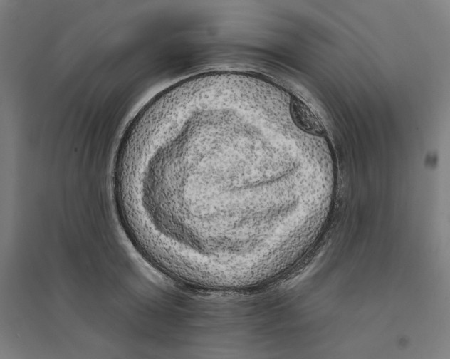 X0000094350803200711301400