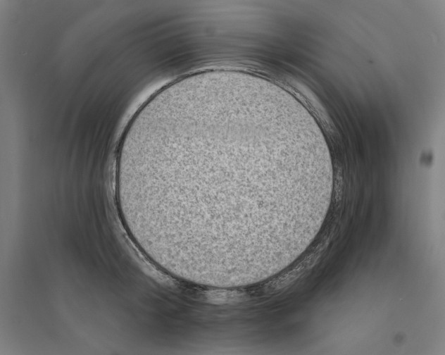 X0000094350804200711301400