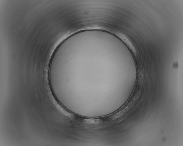 X0000094350805200711301400