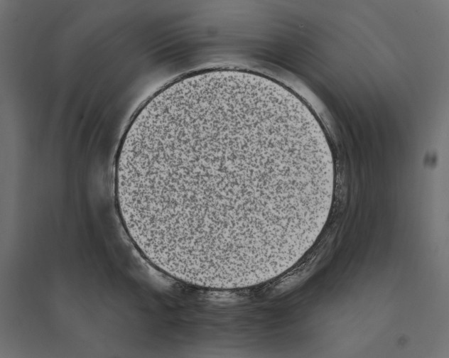 X0000094350807200711301400