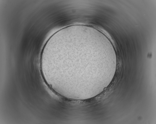 X0000094350811200711301400