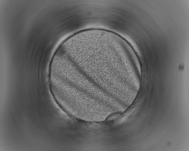 X0000094350815200711301400