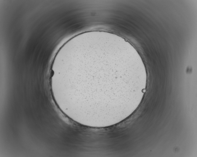 X0000094350816200711301400