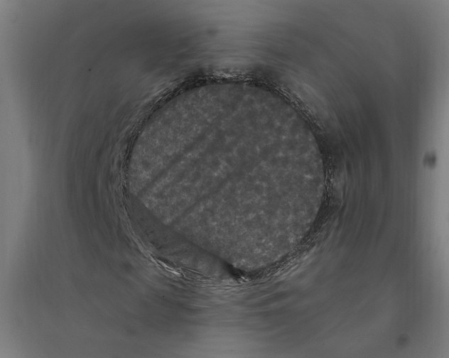 X0000094350817200711301359