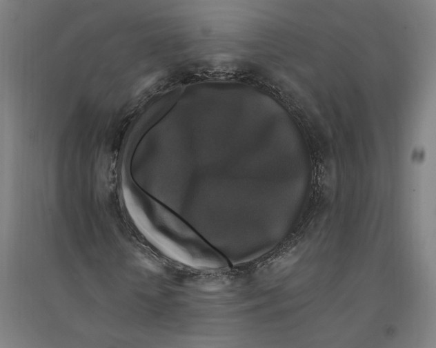 X0000094350818200711301359