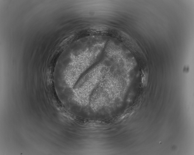 X0000094350819200711301359