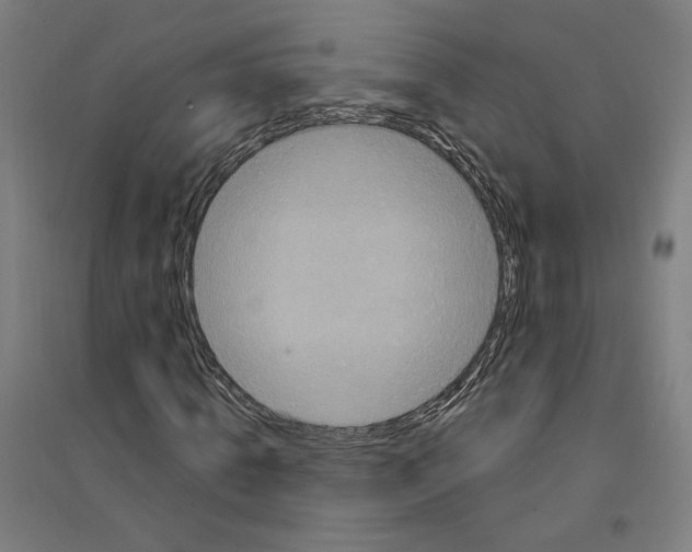 X0000094350820200711301359