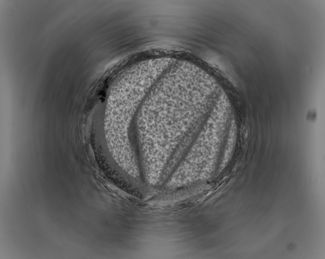 X0000094350822200711301359