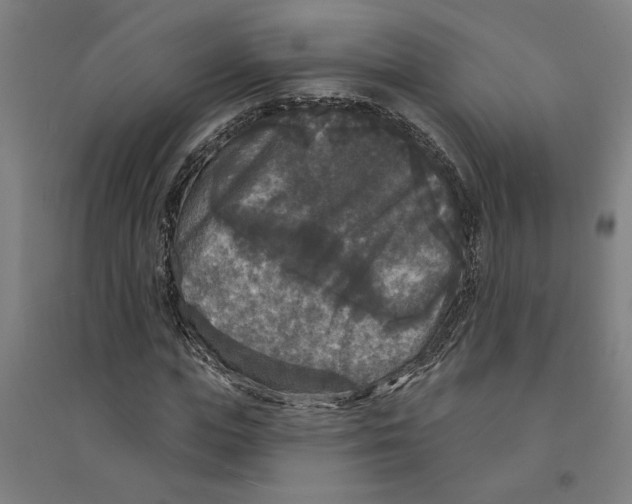 X0000094350823200711301359