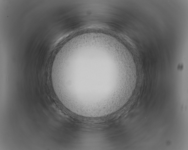 X0000094350824200711301359