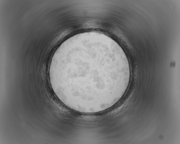 X0000094350825200711301359