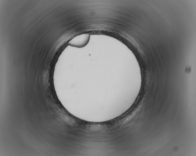 X0000094350826200711301400