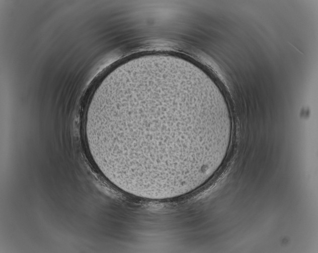 X0000094350827200711301400