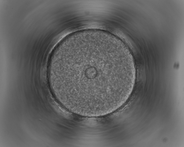 X0000094350828200711301400