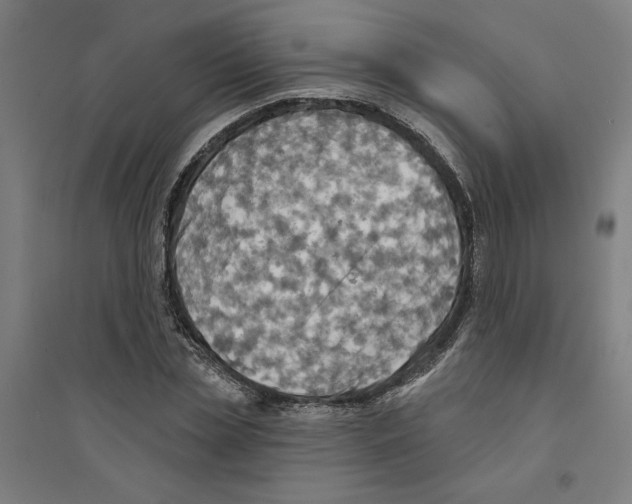 X0000094350829200711301400